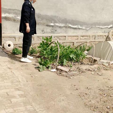 网格员在行动 罂粟排查无死角