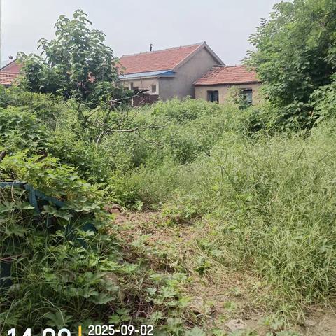 闲置院落安全排查