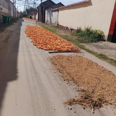 占用公共区域晒粮，存在安全隐患。