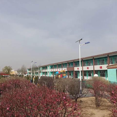 阳原县小学区域教研——名师送教下乡活动实录（东城片区）
