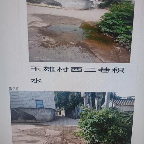 玉雄村开展人居环境整治及登革热预防工作