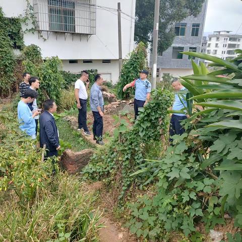 路地联合除隐患