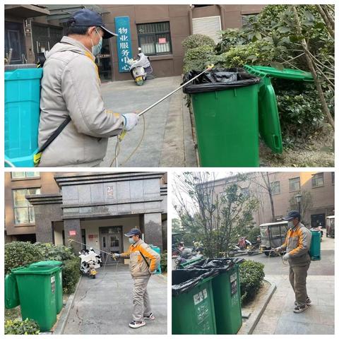 【灞陵街道延中社区】集中开展“投放鼠药除四害，守护健康”行动