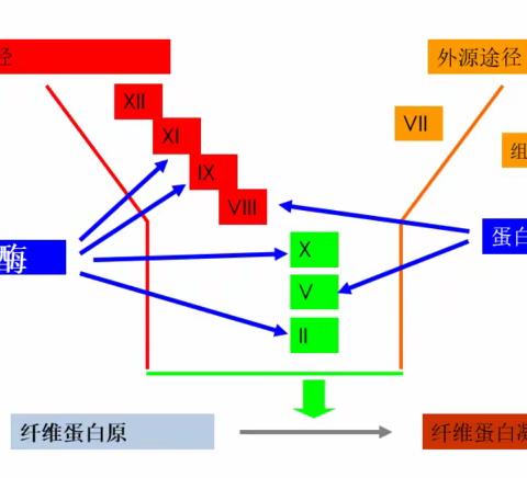 清徐县人民医院检验科开展新项目临床应用解读