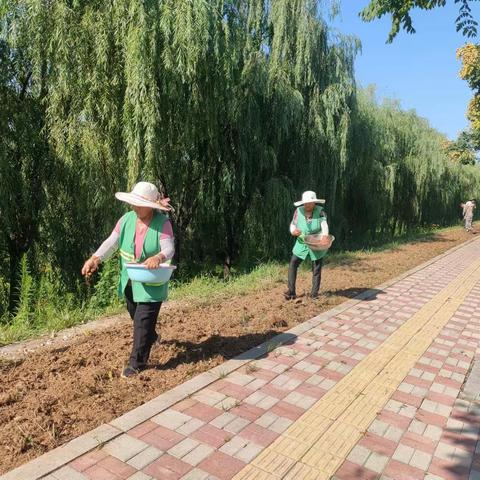 滨河路景观管理中心 清明节遍撒花籽添春色