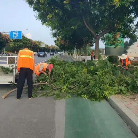 鹿泉区滨河路景观管理中心         助力营商环境持续优化