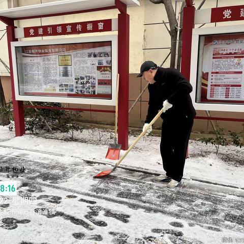 浴“雪”奋战，情暖业主—兴罾新城物业服务中心积极开展扫雪除冰工作