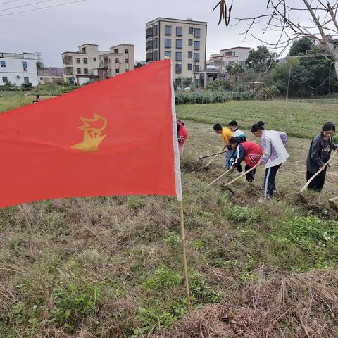 劳动砺心志，实践促成长 丽岗镇车较田小学