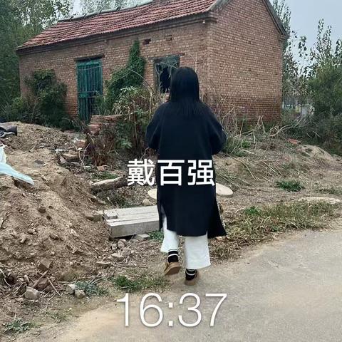 戴家村巡查村内房屋排查