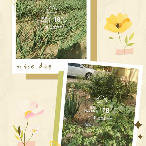 罂粟踏查，安全守护净士