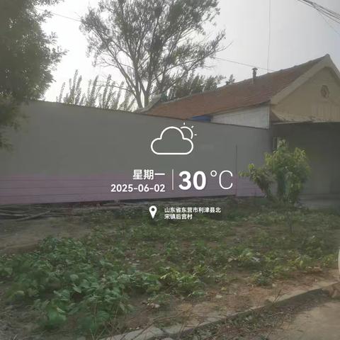 守护网格安全 禁种铲毒在先