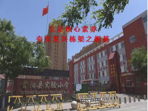 立足核心素养 夯实复兴栋梁之根基