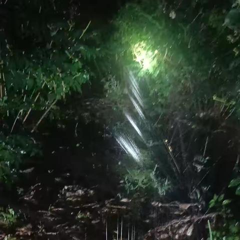 宁安组夜间错峰浇水工作