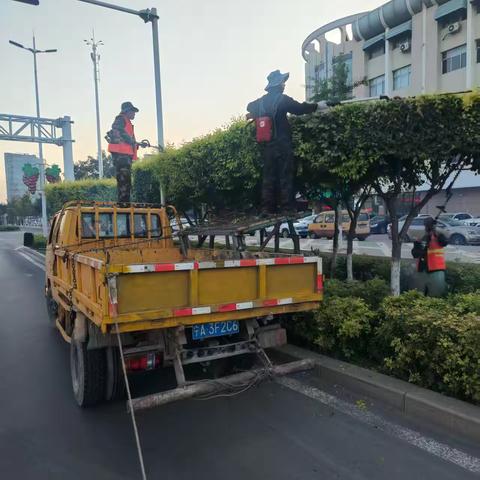 宁安组近期养护管理工作