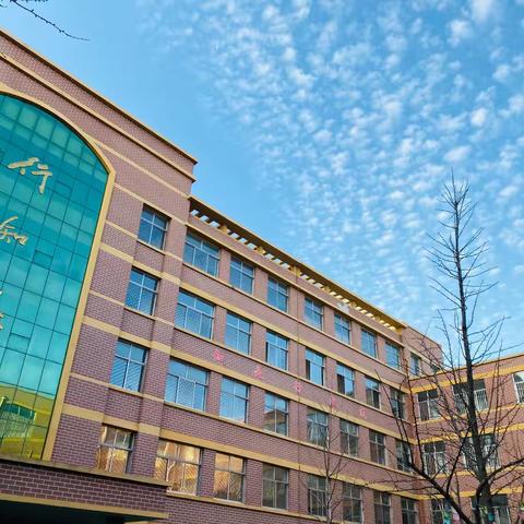 蒙阳新星学校六年级整本书阅读主题教研