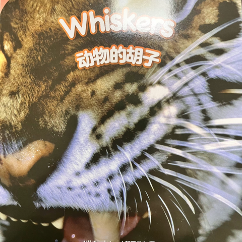 中牟县城东路小学科林英语分级阅读:《Whiskers》动物的胡子