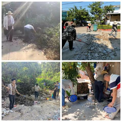 大田镇各村居开展人居环境卫生整治工作简报