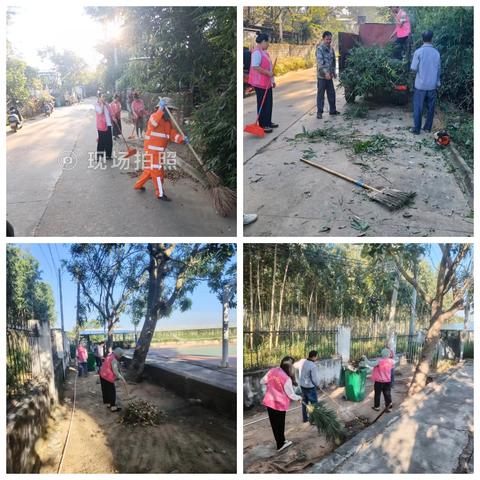 大田镇妇联开展农村人居环境整治月活动