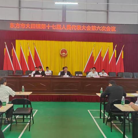 凝心聚力开新局 实干担当促发展 I 大田镇第十七届人民代表大会第六次会议胜利召开
