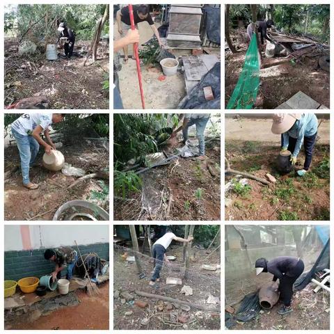 大田镇各级人大代表积极开展基孔肯雅热、登革热防控专项行动