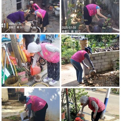 巾帼齐行动，共筑防蚊墙——大田镇妇联开展基孔肯雅热、登革热防控专项行动