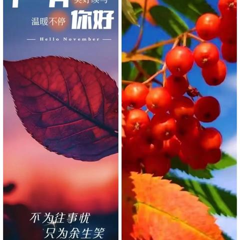 [中锐保安一司法警官项目部]2024年11月工作汇报