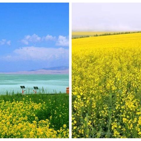 [中锐保安一司法警官项目部]2025年7月份工作汇报