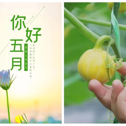 [中锐保安一司法警官项目部]2026年5月份工作汇报