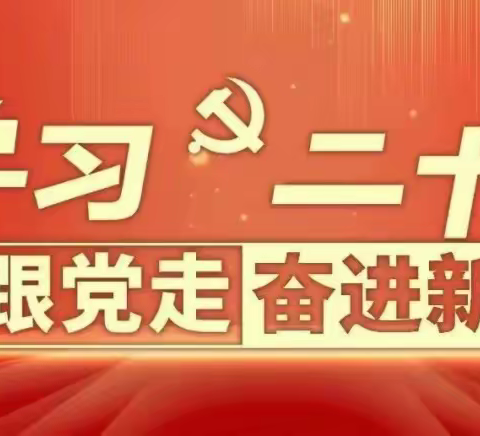 成安县召开2023年度少工委、中学（中职）共青团述职交流会