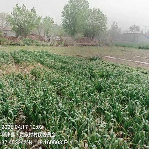 开展罂粟踏查和禁毒宣传活动