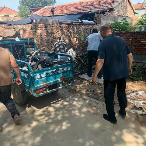 网格助力环境卫生，共建美好家园