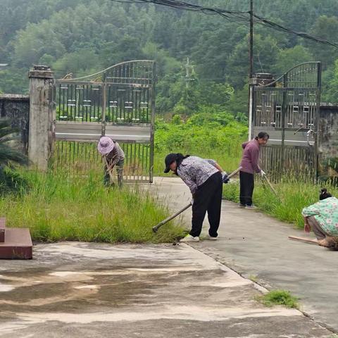 清理杂草  美化环境