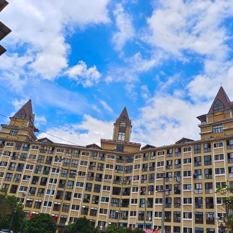 森海豪庭2024年年终工作总结