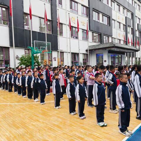 红领巾点亮成长路——马蹄莲小学一年一班入队仪式