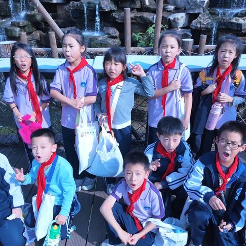 和小动物的治愈午后——马蹄莲小学二年一班太原动物园研学之旅