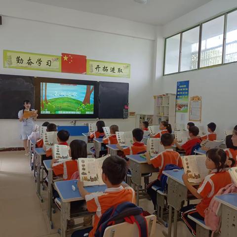 三亚曙光小学语文组公开课——《树之歌》