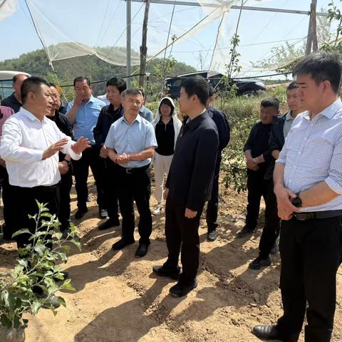 安塞区一行来我区考察学习苹果产业高质量发展情况