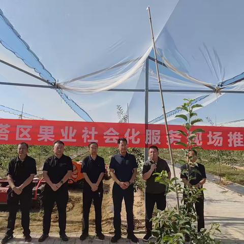 提升服务效能 激活果业动能——宝塔区召开果业生产社会化服务现场推进会