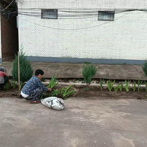 西仵镇正川村网格开展种植花卉 美化环境”志愿服务活动