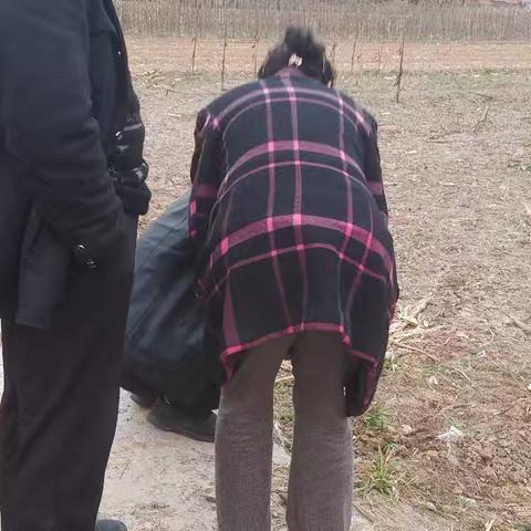 丈量地界 温暖人心——网格员化解耕地纠纷纪实