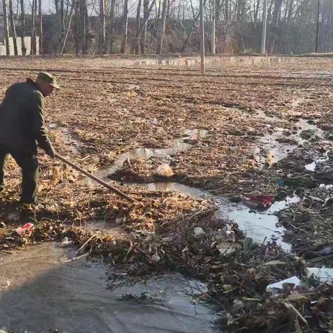 正川村冬浇小麦助力来年丰收