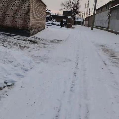 正川村雪后清雪行动纪实