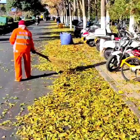 风吹落叶满地黄，环卫工人清扫忙