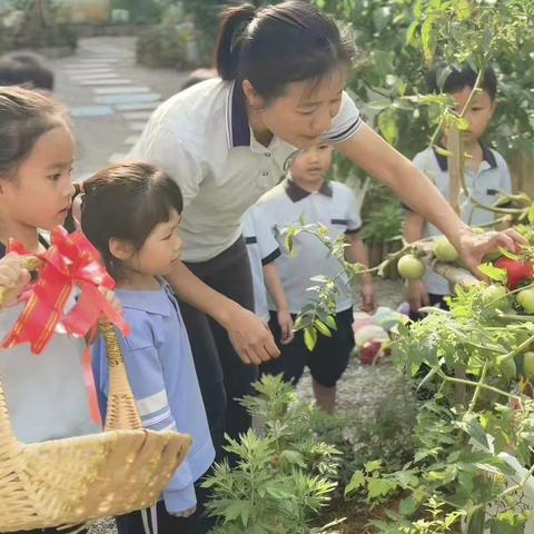 耕读润童心——新湖幼儿园“百草园”自然美育与劳动教育融合实践录