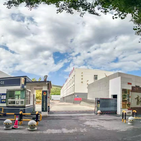 【“福”园课程】深耕细研践初心，共思共进促成长—新庙小学数学组五六年级主题教研活动纪实