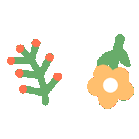 萌芽班（六）‍食育课程：橘子🍊茶