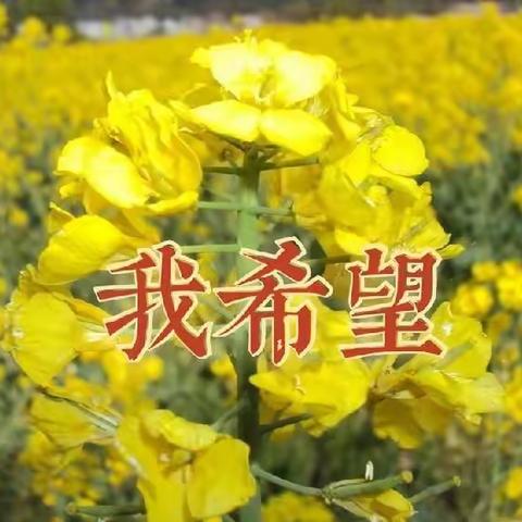 妙笔生花-诗歌《我希望》