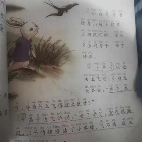 松竹梅兰的文章