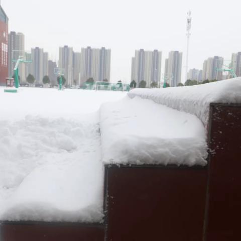 景美情长 雪落成诗——郑州经开区外国语小学教育集团锦龙校区“雪趣”实践活动