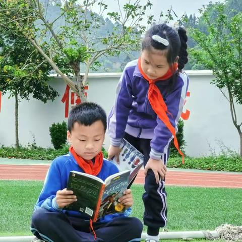 【爱心落地】随手传书香，沪滇情谊长——广南县那朵小学图书捐赠反馈